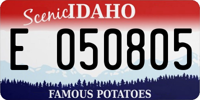 ID license plate E050805