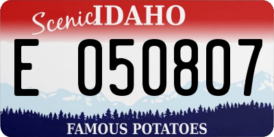 ID license plate E050807