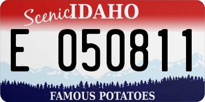 ID license plate E050811
