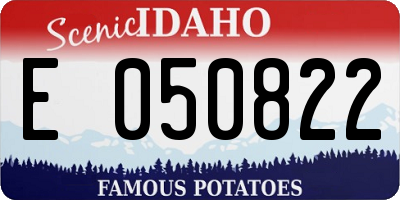 ID license plate E050822