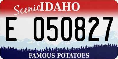 ID license plate E050827