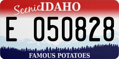 ID license plate E050828
