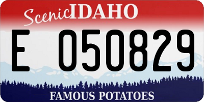 ID license plate E050829