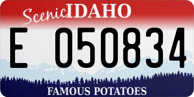 ID license plate E050834