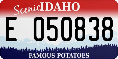 ID license plate E050838