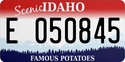 ID license plate E050845