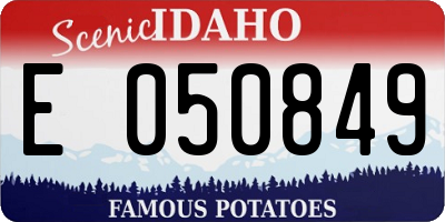 ID license plate E050849