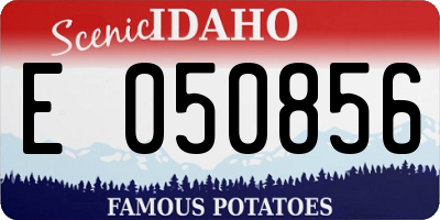 ID license plate E050856