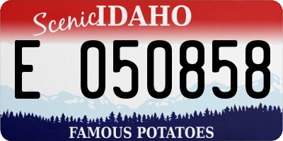 ID license plate E050858