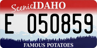 ID license plate E050859