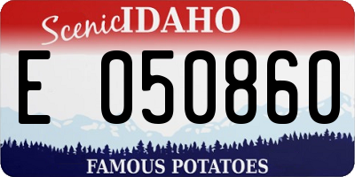 ID license plate E050860