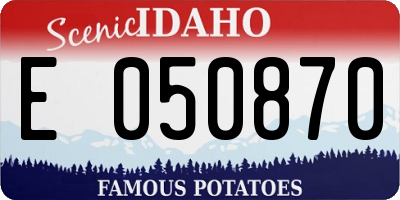 ID license plate E050870