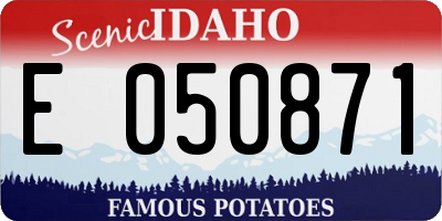 ID license plate E050871