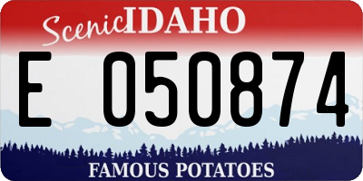 ID license plate E050874