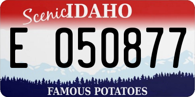 ID license plate E050877