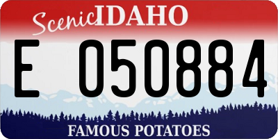 ID license plate E050884