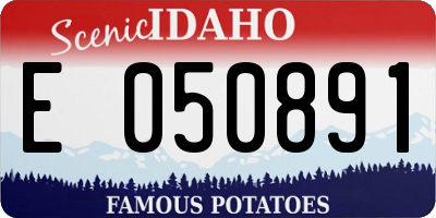ID license plate E050891