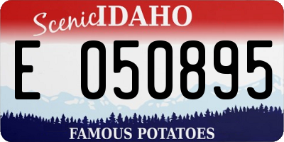 ID license plate E050895