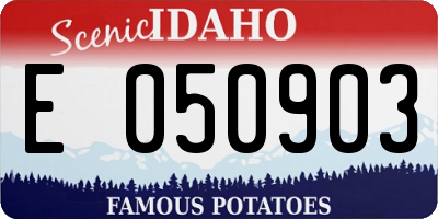 ID license plate E050903