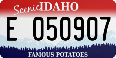 ID license plate E050907