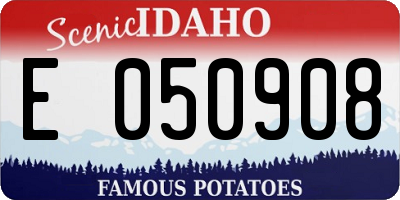 ID license plate E050908