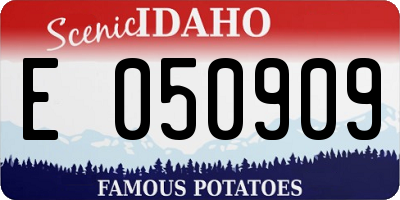 ID license plate E050909