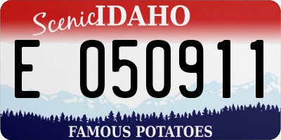 ID license plate E050911