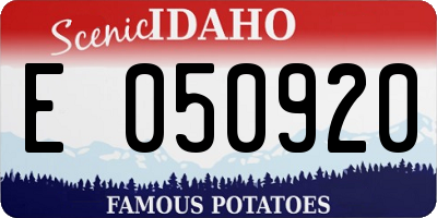 ID license plate E050920