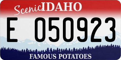 ID license plate E050923