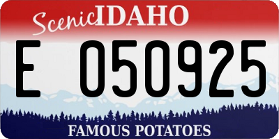 ID license plate E050925