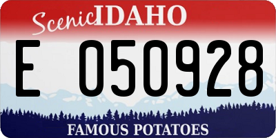 ID license plate E050928