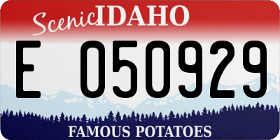 ID license plate E050929