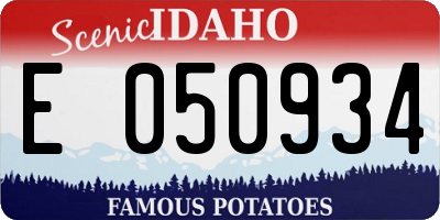 ID license plate E050934
