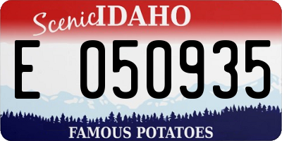 ID license plate E050935