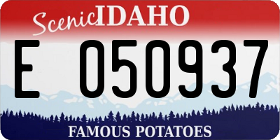ID license plate E050937