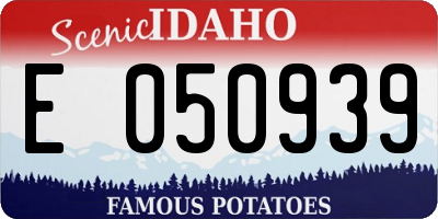 ID license plate E050939