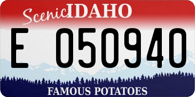 ID license plate E050940