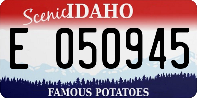 ID license plate E050945