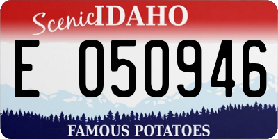 ID license plate E050946