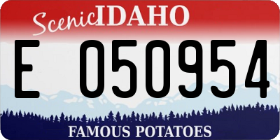 ID license plate E050954