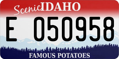 ID license plate E050958