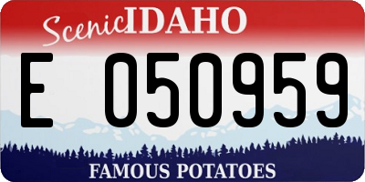 ID license plate E050959