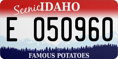 ID license plate E050960