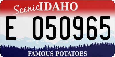 ID license plate E050965