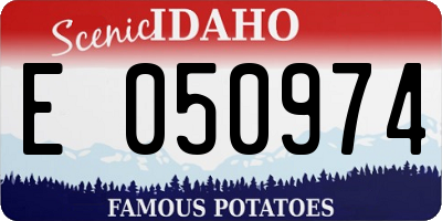 ID license plate E050974