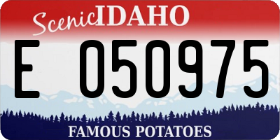 ID license plate E050975