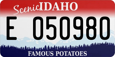 ID license plate E050980