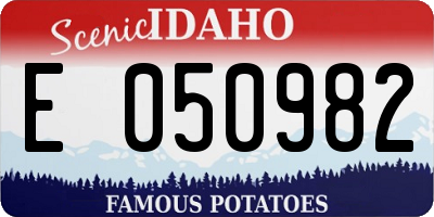 ID license plate E050982