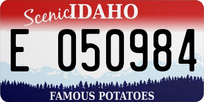 ID license plate E050984
