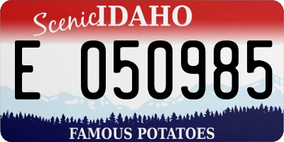 ID license plate E050985